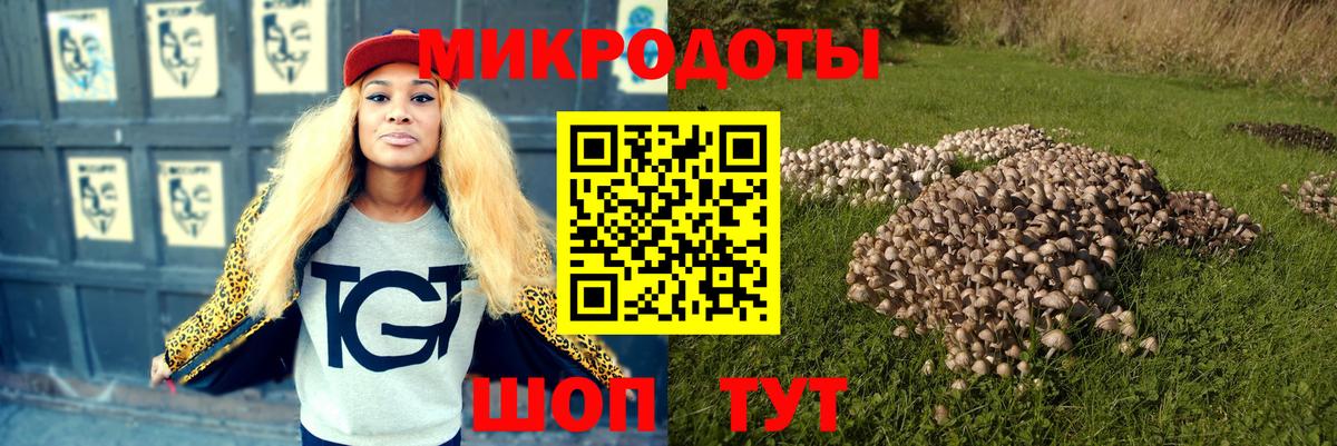 Галлюциногенные грибы мухоморы Ржев