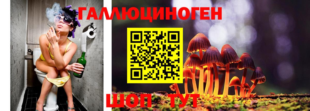 Ржев  Псилоцибиновые грибы мицелий  Вход с VPN 